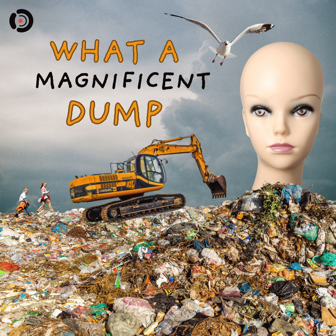 What a Magnificent Dump
